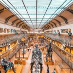 Seberapa Kuat Dinosaurus Ini hingga Diklaim Nyaris Tak Punya Musuh?