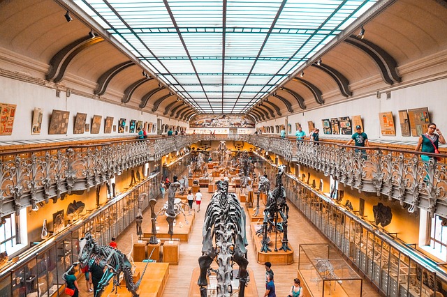 Seberapa Kuat Dinosaurus Ini hingga Diklaim Nyaris Tak Punya Musuh?