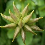 Danantara Bakal Jadi Pemegang Saham 7 Proyek Sampah Jadi Listrik