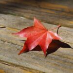 Wuling Darion Dikembangkan Pakai Platform Baru, Ini Keunggulannya