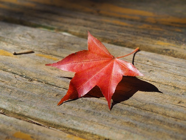 Wuling Darion Dikembangkan Pakai Platform Baru, Ini Keunggulannya