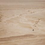 IHSG Melemah, Intip 5 Saham yang Berpeluang Kasih Cuan Hari Ini – CNBC Indonesia