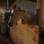 4 Fakta Mahasiswi Bogor Jatuh dari Lantai 3 Kampus Usai Ujian