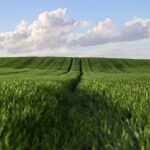 Menhan Umumkan TNI AD Jaga Kilang & Terminal Pertamina Mulai Desember