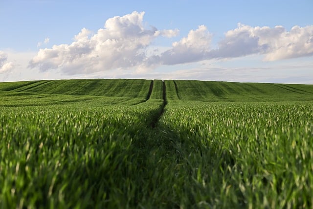 Menhan Umumkan TNI AD Jaga Kilang & Terminal Pertamina Mulai Desember