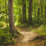 Jejak Asteroid Air di Bulan: Temuan Mengejutkan China dari Sisi Jauh Bulan