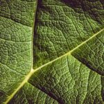 Di Tengah Ambisi Raksasa Teknologi Membangun AGI, Para Ilmuwan Memperingatkan Risiko Hilangnya Kendali Manusia