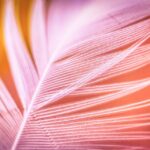 Agak Laen 2 Resmi Jadi Film Indonesia Terlaris, Update Jumlah Penonton Hari Ini