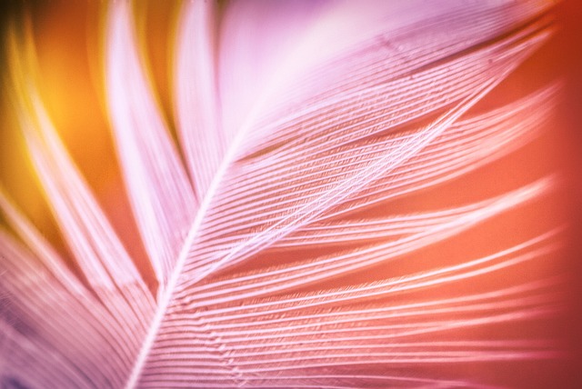 Agak Laen 2 Resmi Jadi Film Indonesia Terlaris, Update Jumlah Penonton Hari Ini