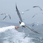 Respons Erick Thohir Saat Timnas Futsal Indonesia Segel Emas SEA Games 2025