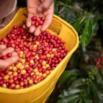 Trump Ancam Serang Kolombia Usai Invasi Venezuela dan Tangkap Maduro