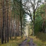 Cara Mengurangi Screen Time di 2026 dengan Gadget Berbasis AI Voice